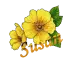 Susan