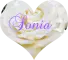 Sonia - glitter