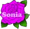 Sonia