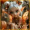 Tina - autumn fairy