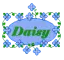 DaisyBlueBlinkie