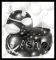 Ashley Pirate Duckie