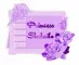 Purple Roses from Princess Shakaila