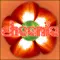 Cheenie Flower