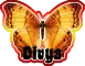 Butterfly Divya