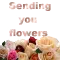 sending flowers