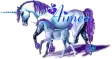 Aimee