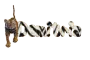 Demitria