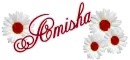 WHITE DAISY AMISHA