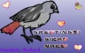bird