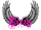 Lizzy Wings