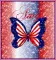 Patriotic butterfly