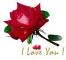 I love you