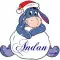 Andan