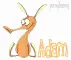 aardvark creature name
