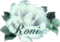 Roni