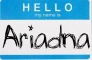 hello my name is...
