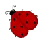 Ladybug with Name