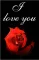 I love you with rose