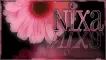 FLOWER FRAME 