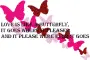 Butterflies