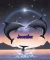 Jennifer's Dolphins