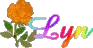 lyn