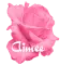 Aimee