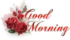 good morning pretty red roses