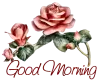 good morning