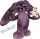 bunny and bears