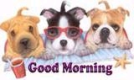 good morning