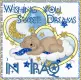 Sweet Dreams - Iraq