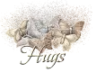 Metallic Butterflies Hugs