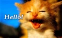Hello!