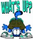 What's Up ?