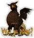 bird beast