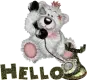 helllo teddy bear