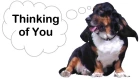 "Thinking Of You"