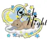 good night