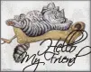 Hello Friend