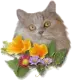Hello 