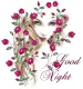 Good Night - Rose Lady Face