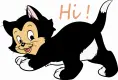 Hi