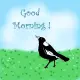 Good morning Magpie