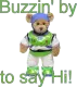 Buzz bear