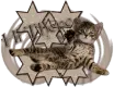 cat, kitten, waving