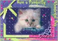 Purrfect Day