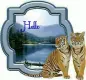 Hello