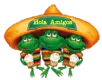 Hola Amigo